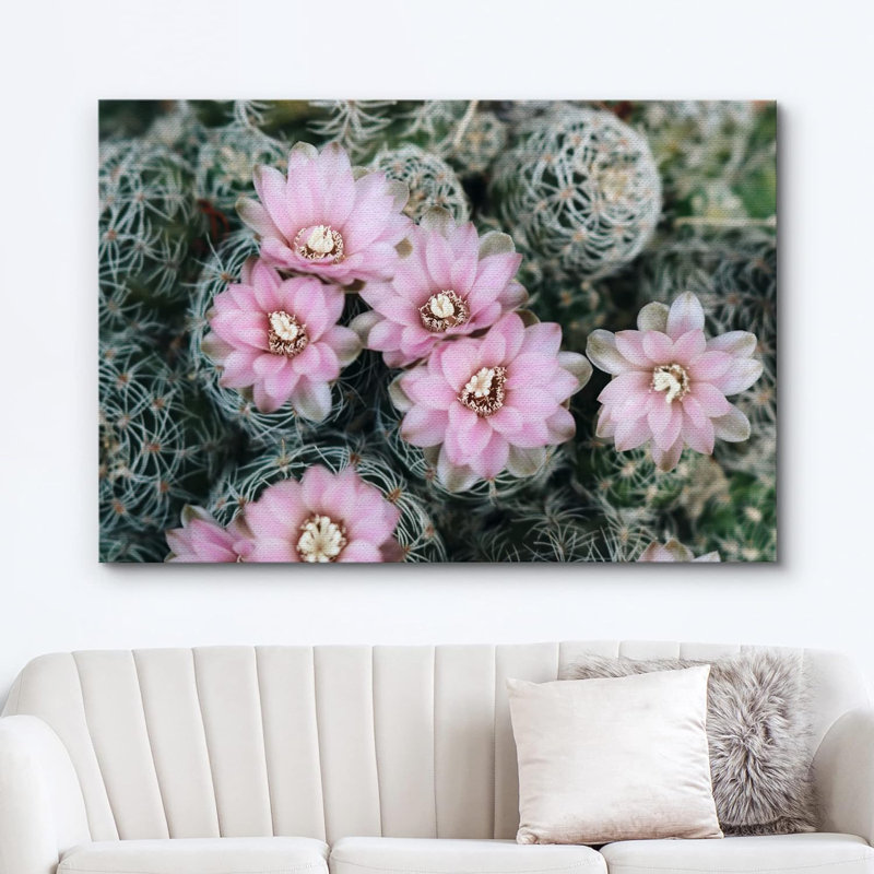 Cactus Desert Desert Southwest Ball Cactus rose sur, H 24 po x l 36 po