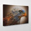 Red Kite Bird Photographic - Wrapped Canvas-19091686