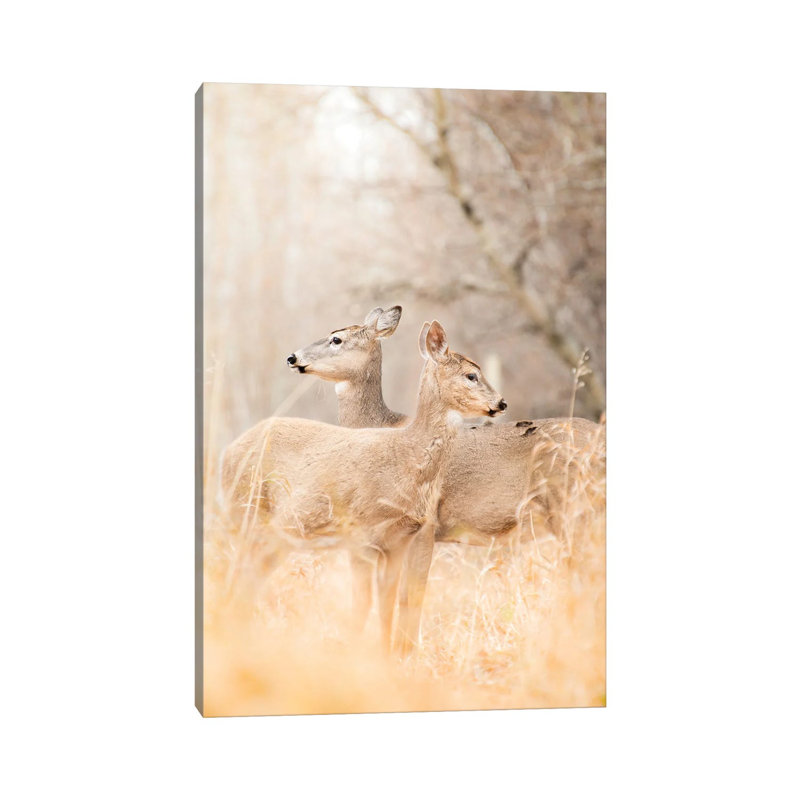 Portrait de maman et de fauve, cerf, H 26 po x l 18 po x P 1,5 po