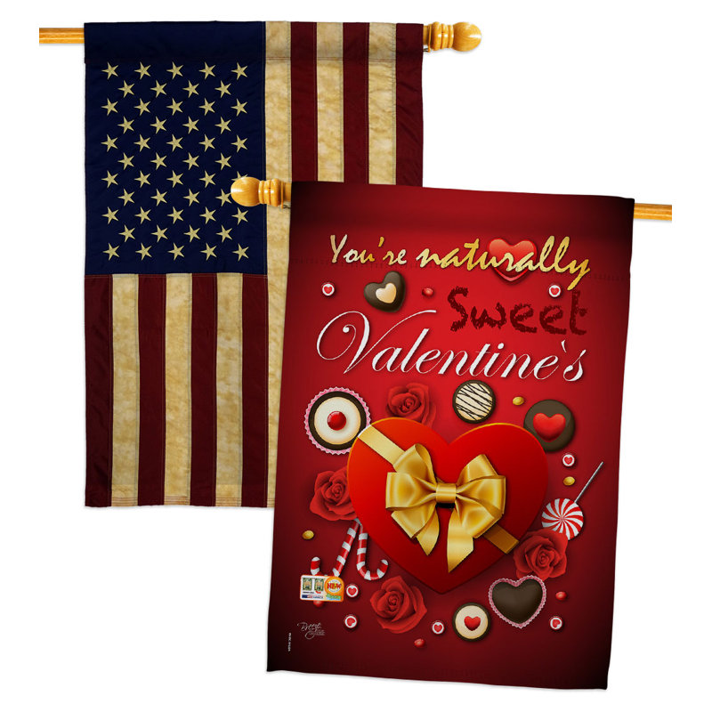 Drapeau de maison en polyester 40 x 28 po Candy Love