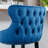Aden 26.7" Seat Height Velvet Upholstered Counter Stools with Button Tufted-1949439428-1967990292
