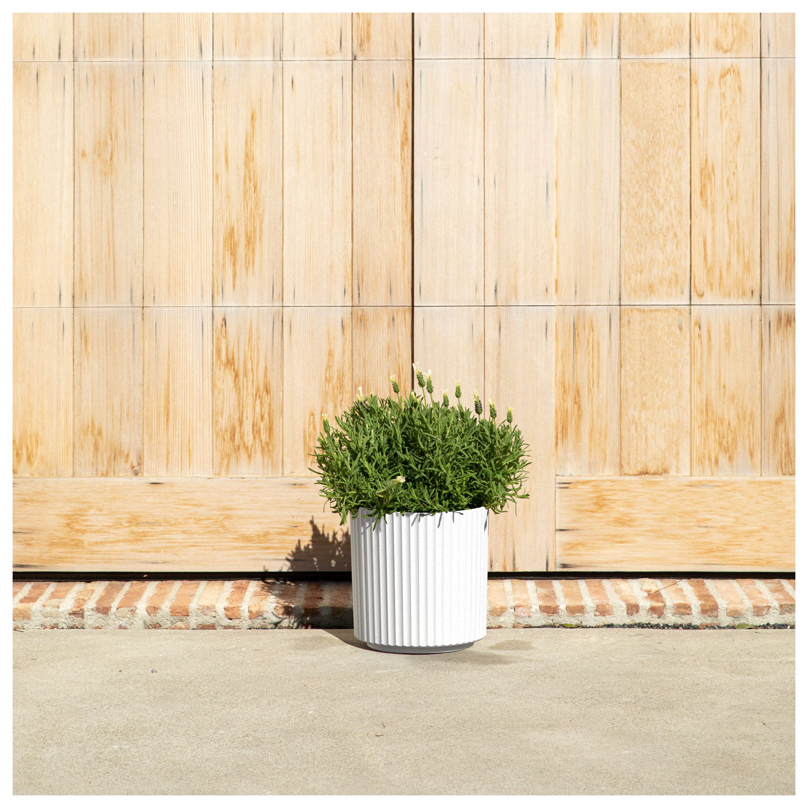 Demi Series Round Planter, 1, White, 11.5" H x 10.5" W x 10.5" D