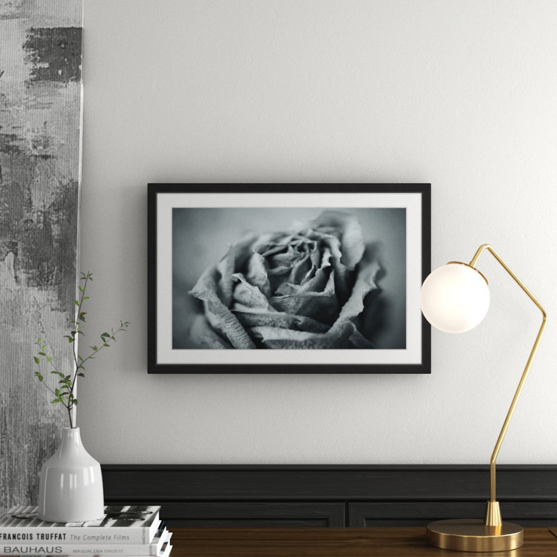 Judy Stalus - Single Picture Frame Print, 41cm H x 61cm W x 3.81cm D