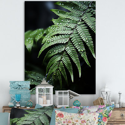 «Wonderland Ferns In Green World VI», reproduction sur toile