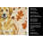 Lion Yellow Leonberger Heirloom Fall Kitchen Towel-1218231492