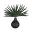 Accent et vase Uttermost Axis Palm