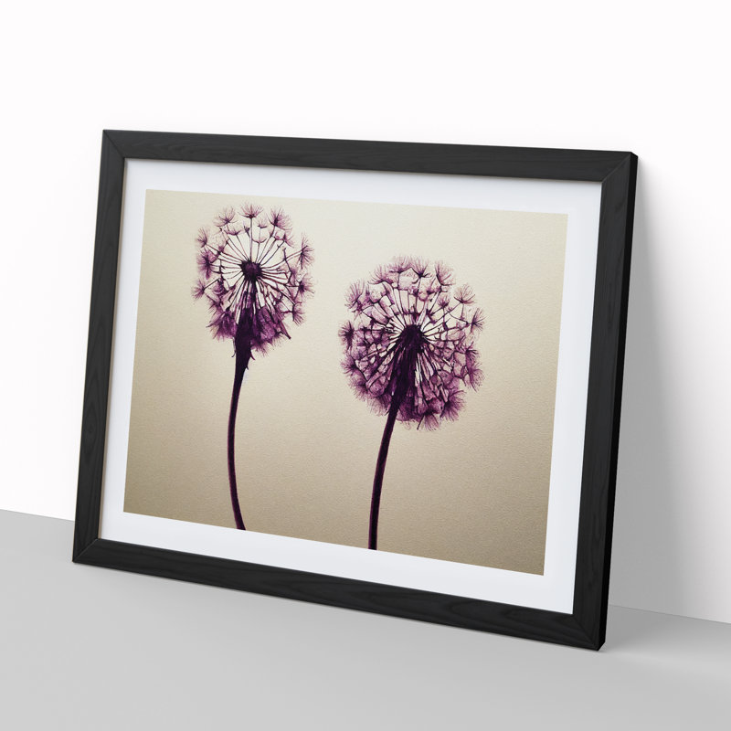 Dandelion Watercolour - Framed Print, Black, 25cm H x 34cm W x 2cm D