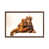 Classic Wood Framed is unavailable