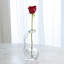 Clear Ring Flower Vase
