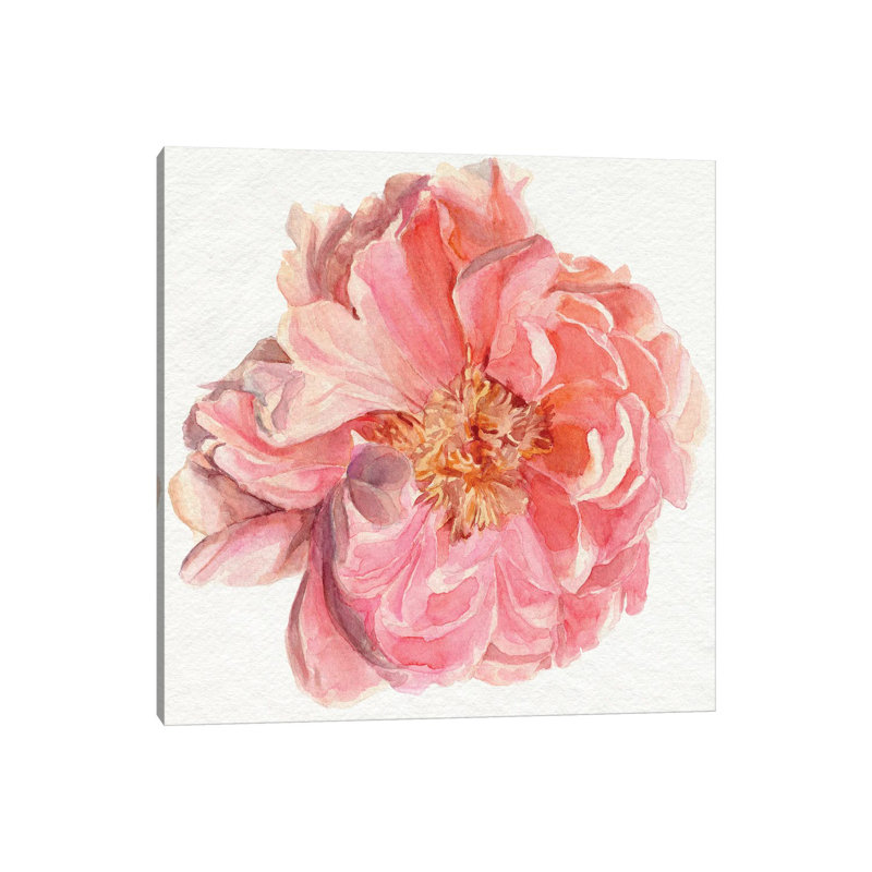 Blossomed Peony I by Jennifer Paxton Parker - Wrapped Canvas Painting, 66.04 cm H x 66.04 cm W x 1.91 cm D