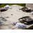POLYWOOD Park 6 - Person Patio Dining Set with Square Table , Cushions Included-22490654-16839173-16839182