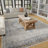 Aldor Oriental Indoor Rug-725497625