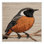 Washable Common Redstart Birds Area Rug