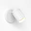 Koto 1 - Light Spotlight-81360782