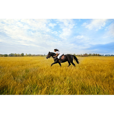 Belle femme et cheval par Sergueïeva