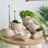 Sand and Cement Nautilus Shell Planter with Textured Beige Finish-1989183906