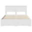 Bed-800317899-800317922