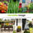 Elevated Raised Garden Bed with Legs & Self-Watering System-369181178
