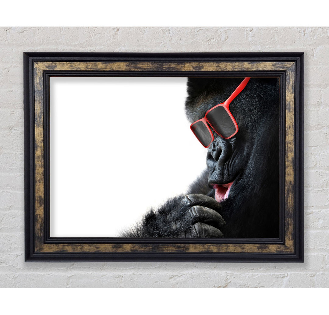 Gorilla Cool - Einzelner Bilderrahmen Kunstdrucke