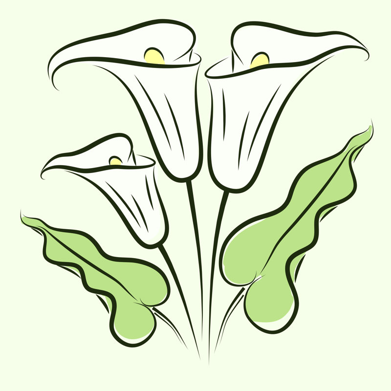 Wilsonia Calla Lily Color - Wrapped Canvas Print, 76cm H x 76cm W x 3.8cm D