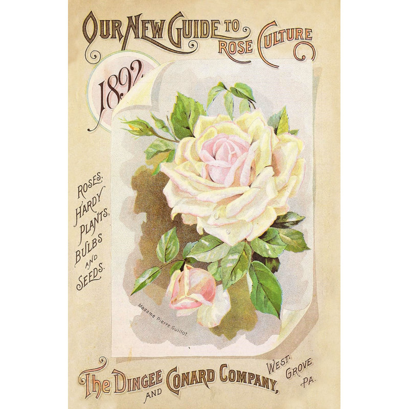 Paquets de graines antiques - publicité sur toile tendue, H 18 po x l 12 po