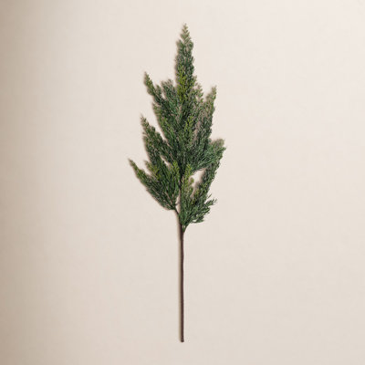 Cedar Fern Floral Stems