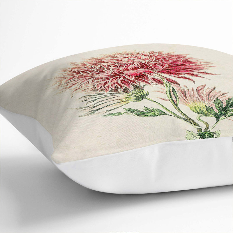 Illustration of Pink Chrysanthemums Cushion with Filling, White, 40cm H x 40cm W x 15cm D