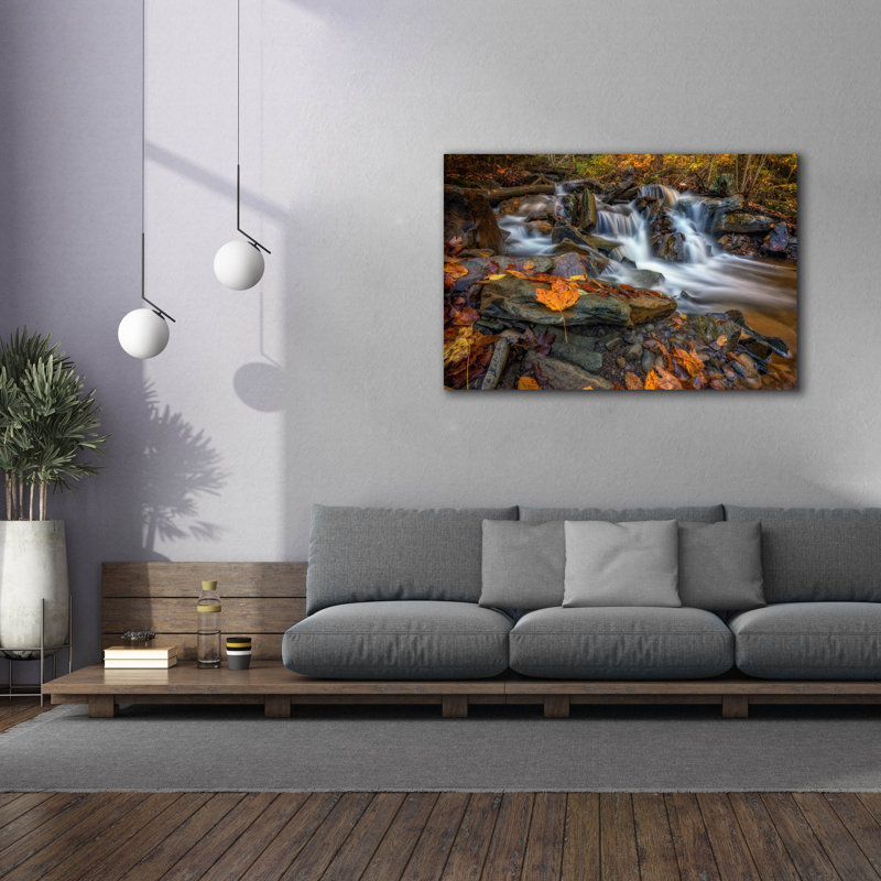 «Epic Graffiti» Fallen Leaf In Ricketts Glen »par Rick Berk, art mural sur toile, 60 po x 40 po
