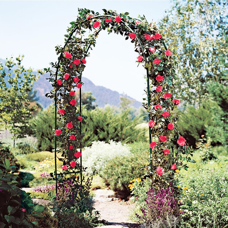 Plant Stand