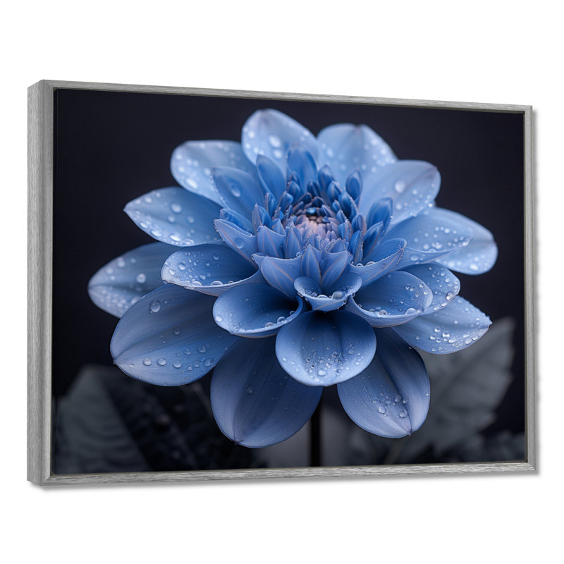 Monochromes noirs et bleus, fleurs de Dahlia - art mural Dahlia, H 12 po x l 20 po, Encadrement argenté