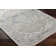 Watts Machine Washable Oriental Gray/Blue Area Rug