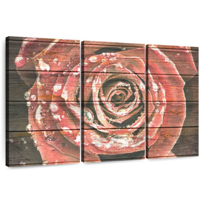 Harnek Red Rose On Wood