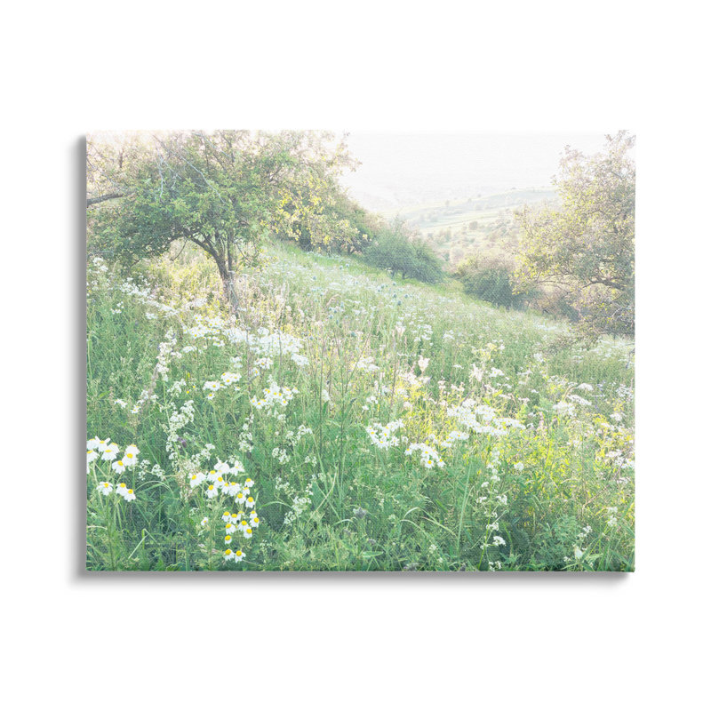 «Spring Meadow Grassland Field», estampe numérique par Leah Straatsma, H 36 po x l 48 po x P 1,5 po, Toile tendue