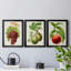 Antique Fruit III - ensemble de 3 impressions sur toile encadrées-702312193-702312186