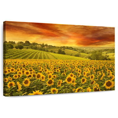 Tournesols Alvord Italian Hill