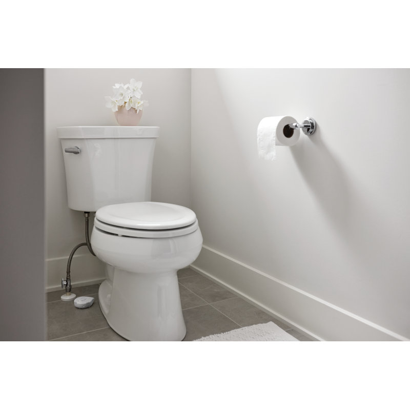 Moen Flo Smart White Battery-Powered Water Leak Detector