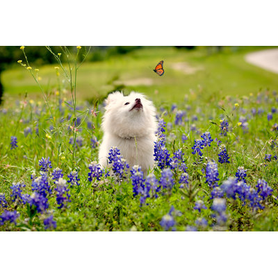 Bluebonnet dog 1 Piece Wrapped Canvas Wall Art