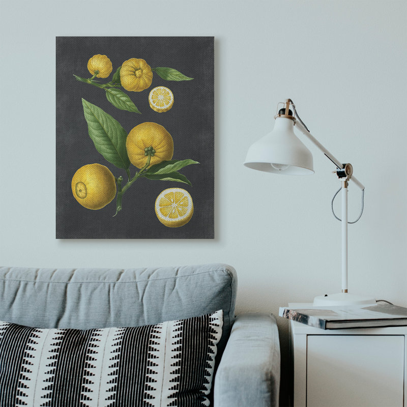 «Botanical Dessin Lemons On Black Design», impression, Toile tendue, H 40 po x l 30 po