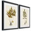 Fern Botanical II - ensemble de 2 reproductions d'art sur papier encadré