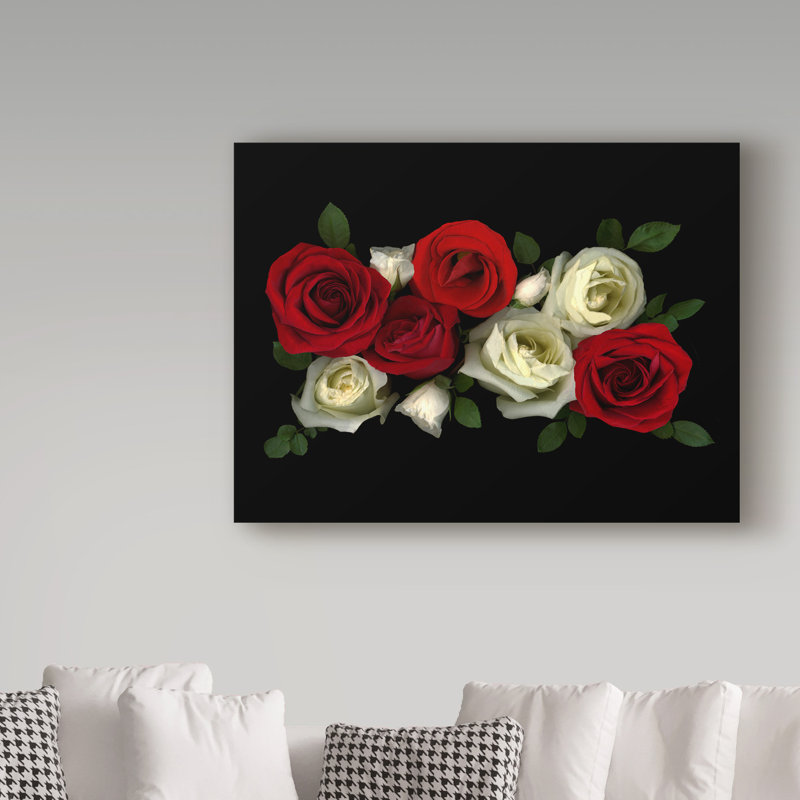 «Red and White Roses» par Dosta, impression sur toile tendue, H 18 po x l 24 po x P 2 po