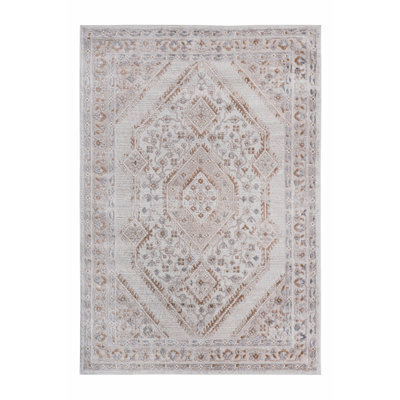 Indoor Rug, Stylish Area Rug For Living Room, Bedroom