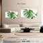 Feuille Harnek Monstera