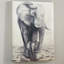 «Elephant Love», reproduction-1301983867-1301983860-1301983859