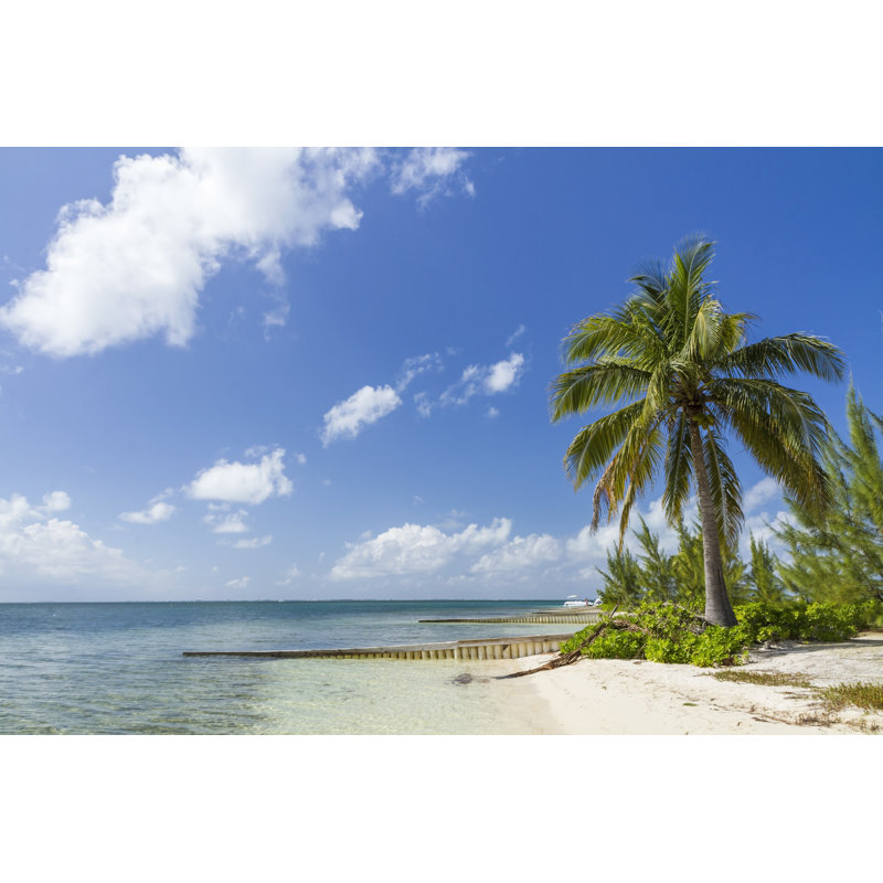 Starfish Point Beach Paradise by Lightphoto - Wrapped Canvas Print, 30cm H x 46cm W