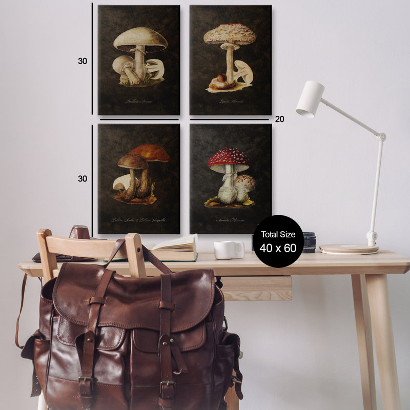  Ensemble d'art mural sur toile 4 pièces Mushroom Genus Study par Tina Higgins Designs, Inc., H 30 po x l 20 po