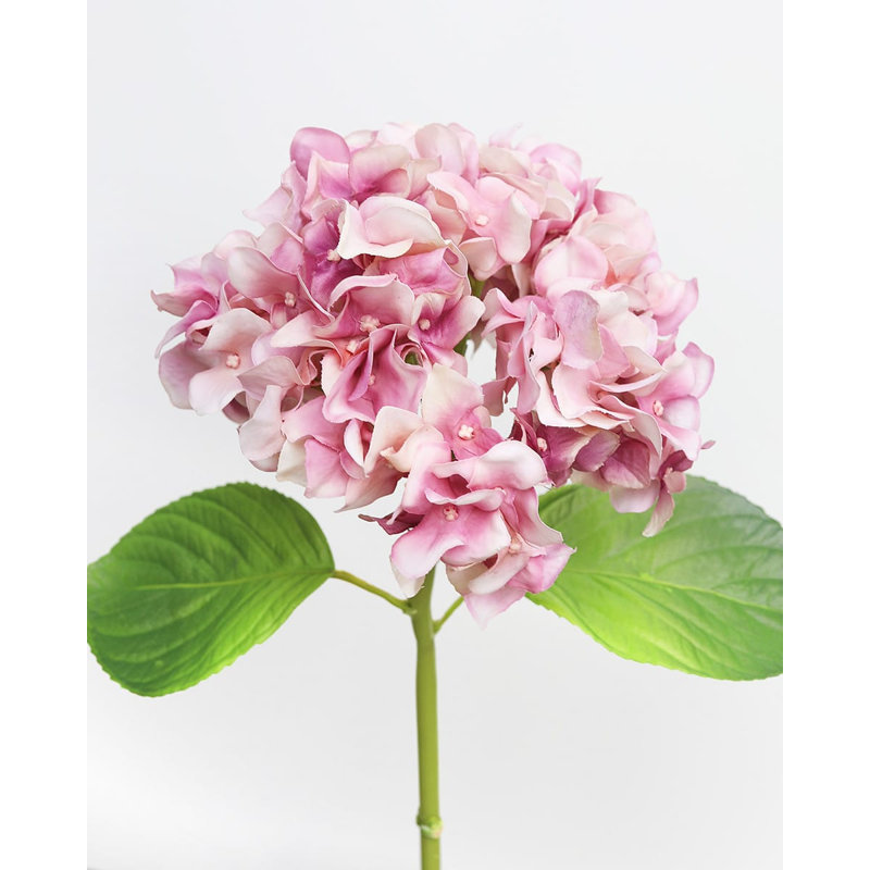 Small White Hydrangea 18", Pink