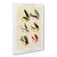 Bass Fishing Flies Versions 5 by Mary Orvis Marbury - Wrapped Canvas-55316802
