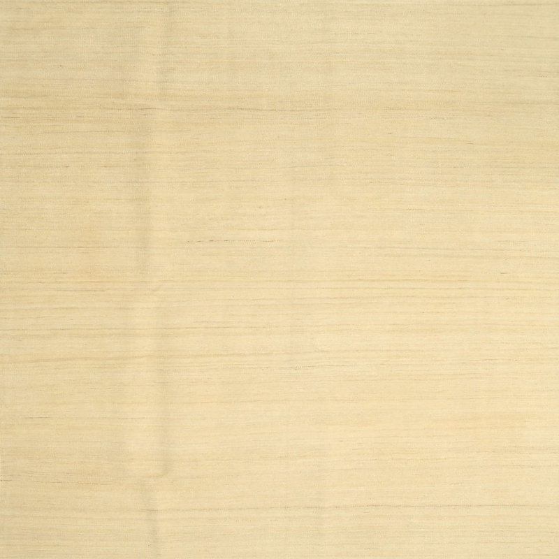 Contemporary Beige Area Rug, Square 8'