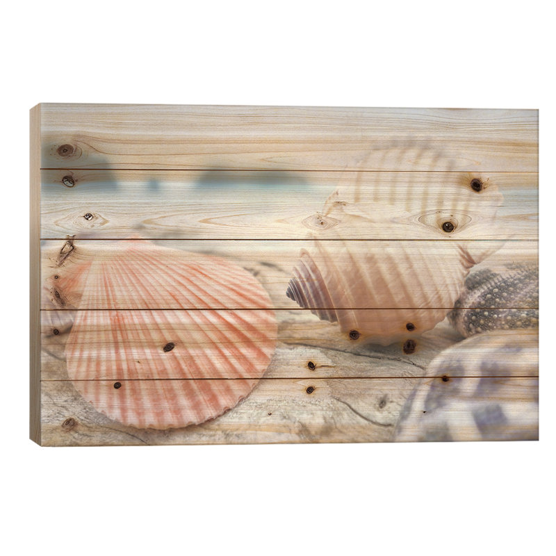 " Crescent Beach Shells X " by Alan Blaustein, 26" W x 18" H