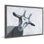 Baaaa 1 Piece Single Picture Frame Painting-1415234864